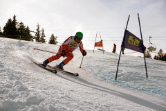 OSSV TELE TOP-Cup 2019 - 8311