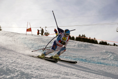 OSSV TELE TOP-Cup 2019 - 8321