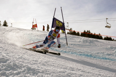 OSSV TELE TOP-Cup 2019 - 8323