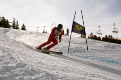OSSV TELE TOP-Cup 2019 - 8324