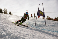 OSSV TELE TOP-Cup 2019 - 8330