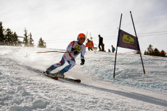OSSV TELE TOP-Cup 2019 - 8334