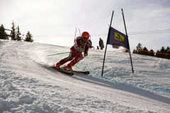 OSSV TELE TOP-Cup 2019 - 8336