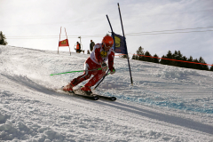 OSSV TELE TOP-Cup 2019 - 8337
