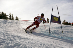 OSSV TELE TOP-Cup 2019 - 8338