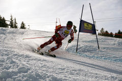 OSSV TELE TOP-Cup 2019 - 8339