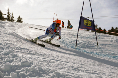 OSSV TELE TOP-Cup 2019 - 8346