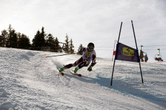 OSSV TELE TOP-Cup 2019 - 8352