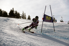 OSSV TELE TOP-Cup 2019 - 8353
