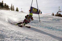 OSSV TELE TOP-Cup 2019 - 8356