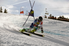 OSSV TELE TOP-Cup 2019 - 8374