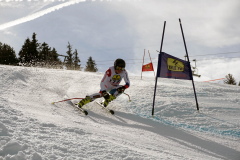 OSSV TELE TOP-Cup 2019 - 8381