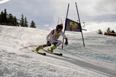 OSSV TELE TOP-Cup 2019 - 8382
