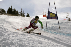 OSSV TELE TOP-Cup 2019 - 8383