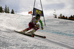 OSSV TELE TOP-Cup 2019 - 8384
