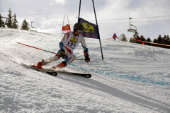 OSSV TELE TOP-Cup 2019 - 8388