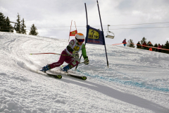 OSSV TELE TOP-Cup 2019 - 8390