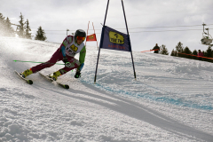 OSSV TELE TOP-Cup 2019 - 8392