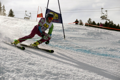 OSSV TELE TOP-Cup 2019 - 8393
