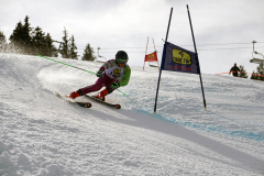 OSSV TELE TOP-Cup 2019 - 8394