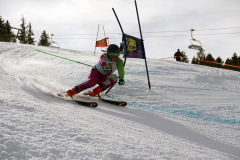 OSSV TELE TOP-Cup 2019 - 8395
