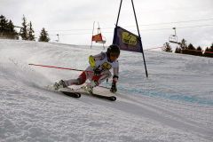 OSSV TELE TOP-Cup 2019 - 8405