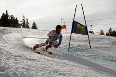 OSSV TELE TOP-Cup 2019 - 8412