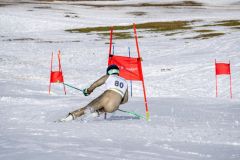 11-Levin-Wolf-Flumserberg-SSW-18.02.23-Wildhaus-Lauf-4